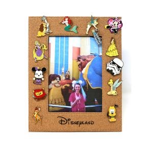 Cork Board Pin Collectors Picture Frame